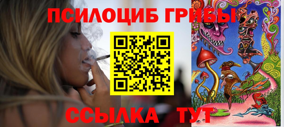 Псилоцибиновые грибы ЛСД  купить закладку  Новошахтинск  Вход с VPN 
