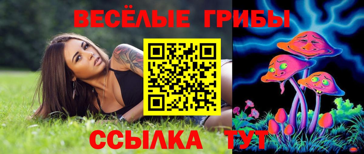 Псилоцибиновые грибы мухоморы Новошахтинск